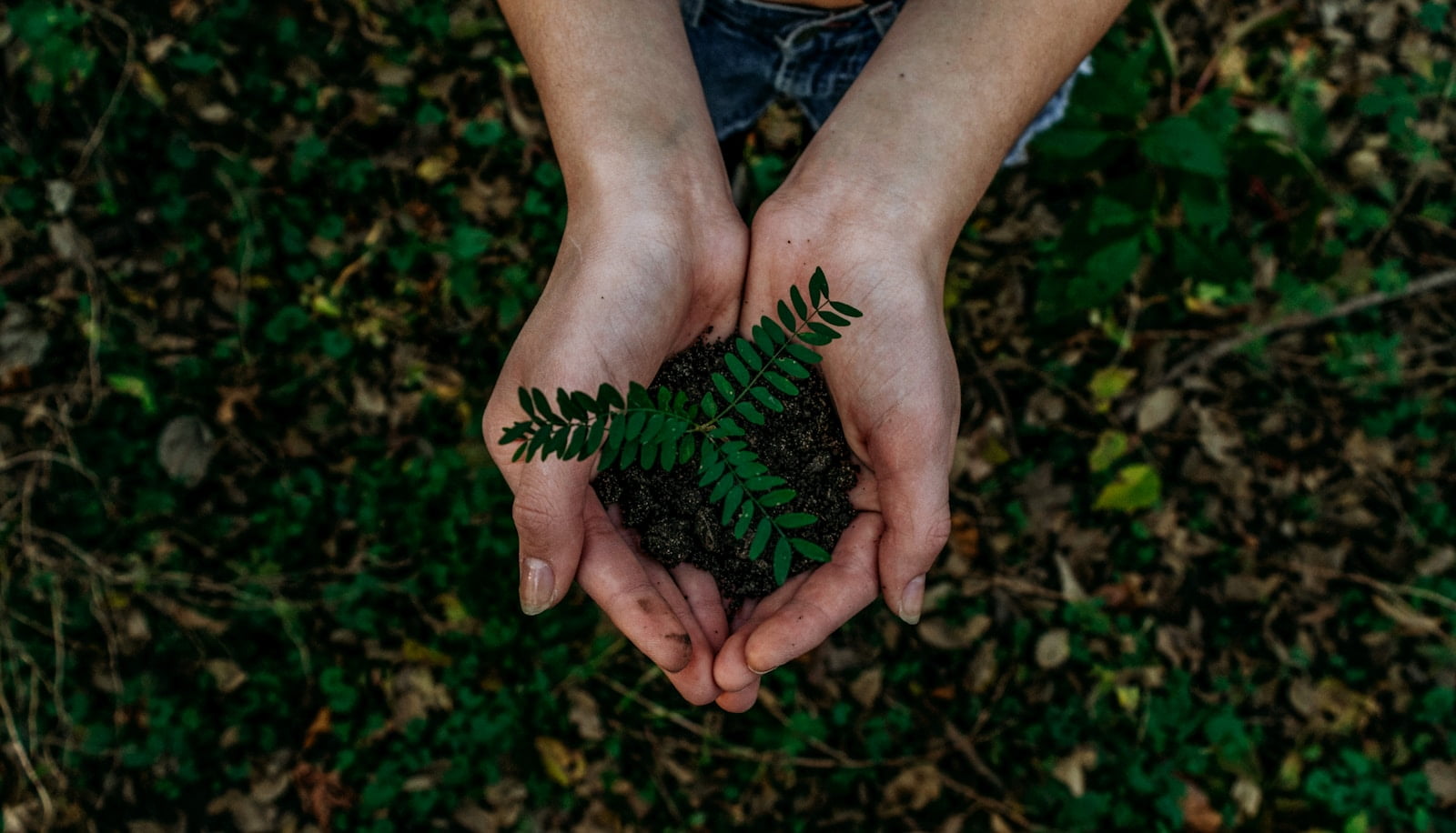 Sustainable eCommerce: How to Meet Consumer Expectations in 2024
